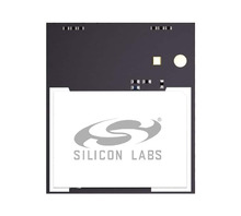 BGM240PA32VNN3 Image