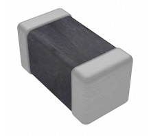 B57351V5103H060 Image