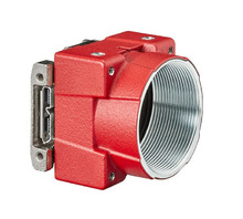 12899 Image