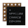 NPM1100-CAAA-E-R7 Image