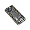 3090 Image